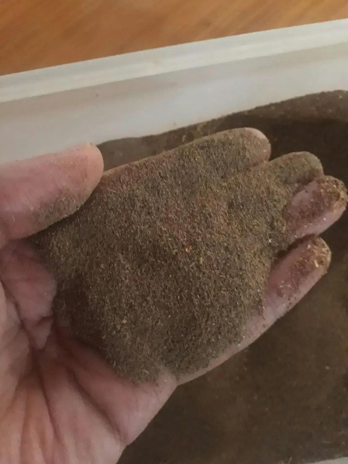 کود میلورم|گل و گیاه طبیعی|رویان, |دیوار