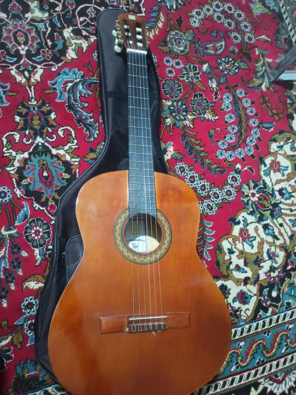 گیتار شهریار|گیتار، بیس، امپلیفایر|مشهد, شهید قربانی|دیوار