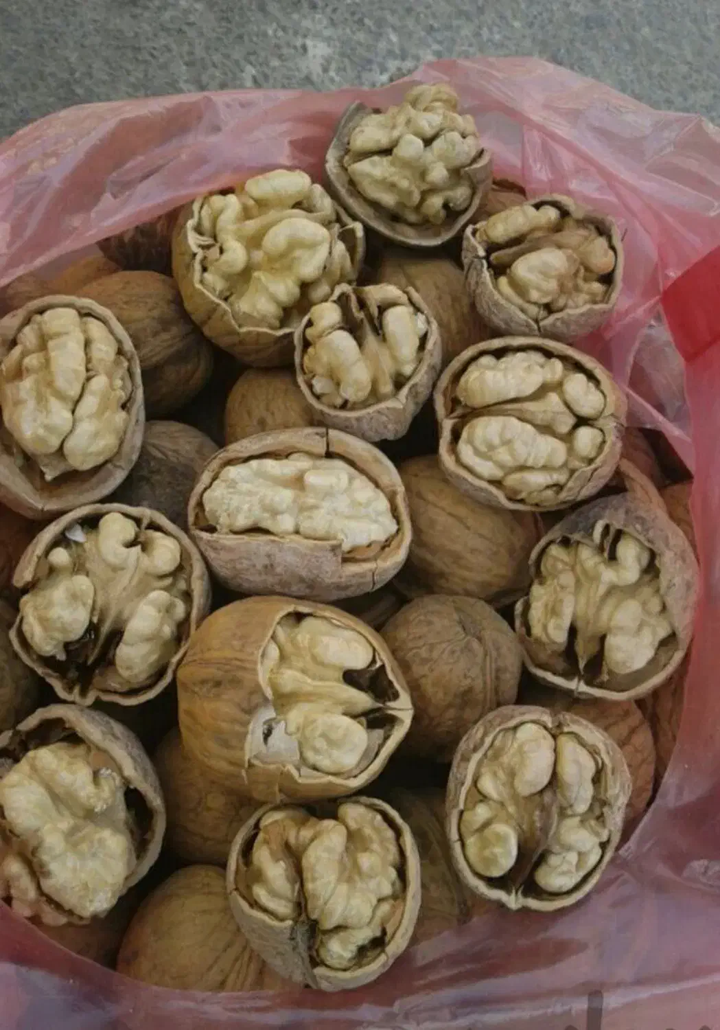 گردو تویسرکان|خوردنی و آشامیدنی|خمینی‌شهر, |دیوار