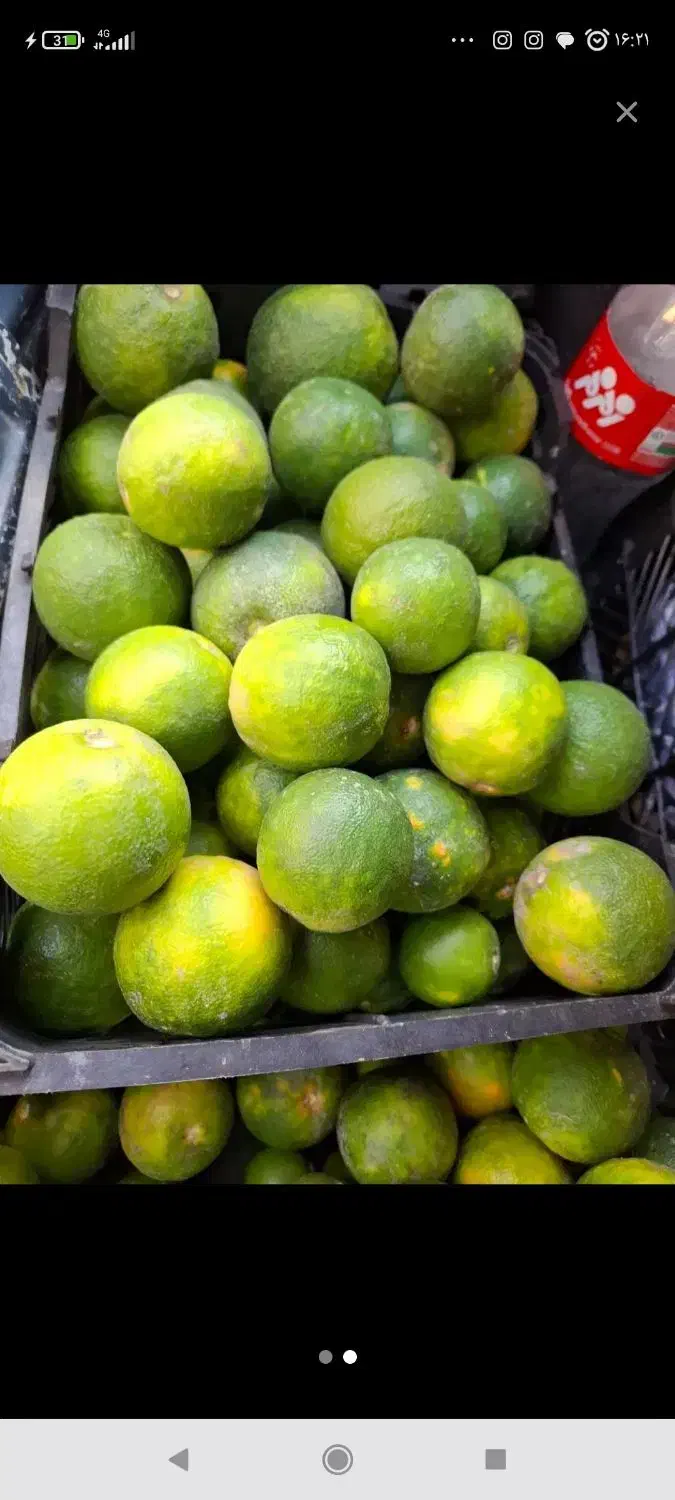 نارنج تازه آبدار|خوردنی و آشامیدنی|نوکنده, |دیوار