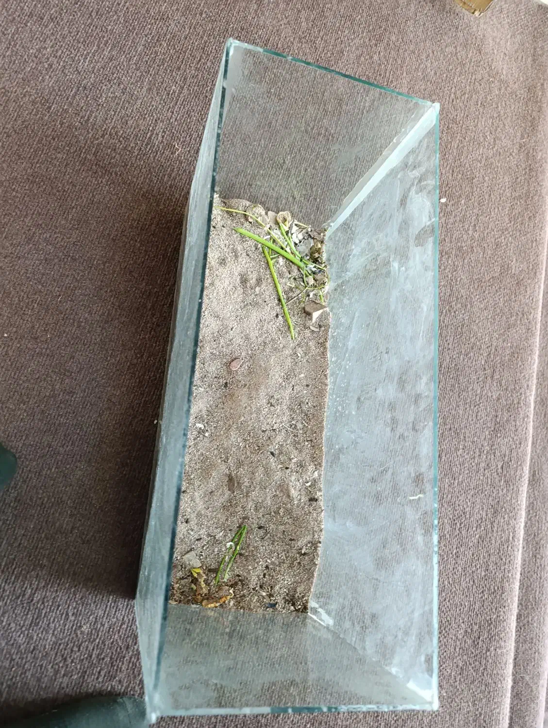 آکواریوم|لوازم جانبی حیوانات|سبزوار, امیر کبیر|دیوار