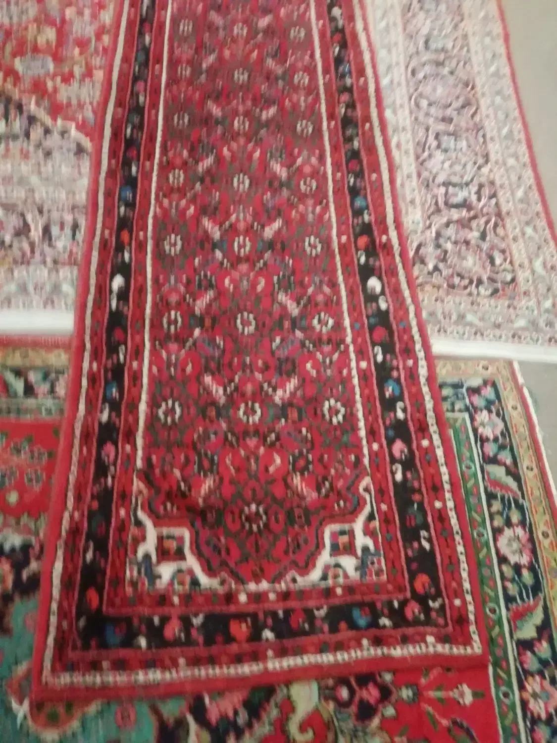 فروش قالی دست بافت کارکر ده از منزل|فرش|تهران, فاطمی|دیوار