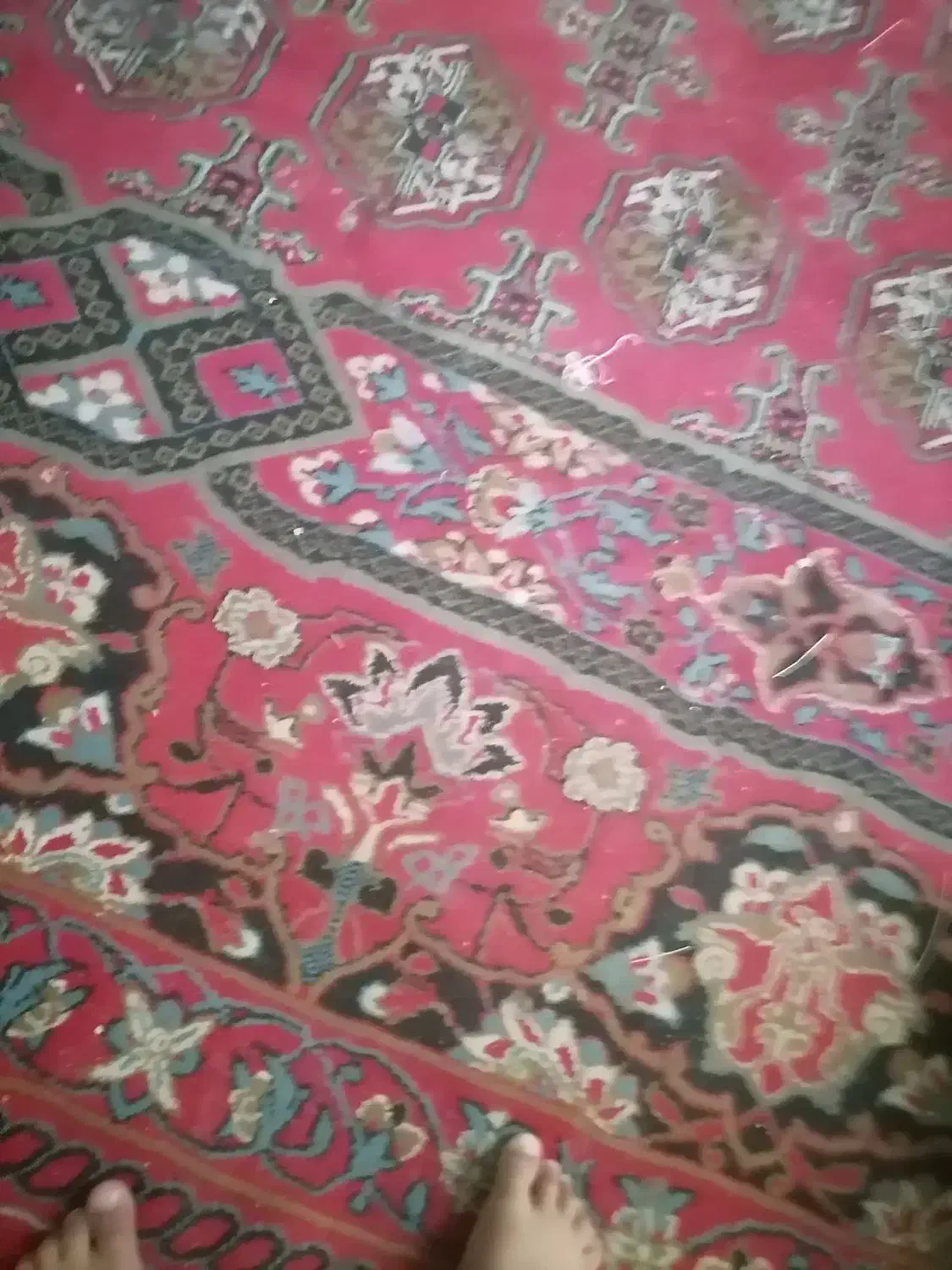 جاروبرقی الجی و فرش|جاروبرقی، جارو شارژی، بخارشو|گناباد, |دیوار