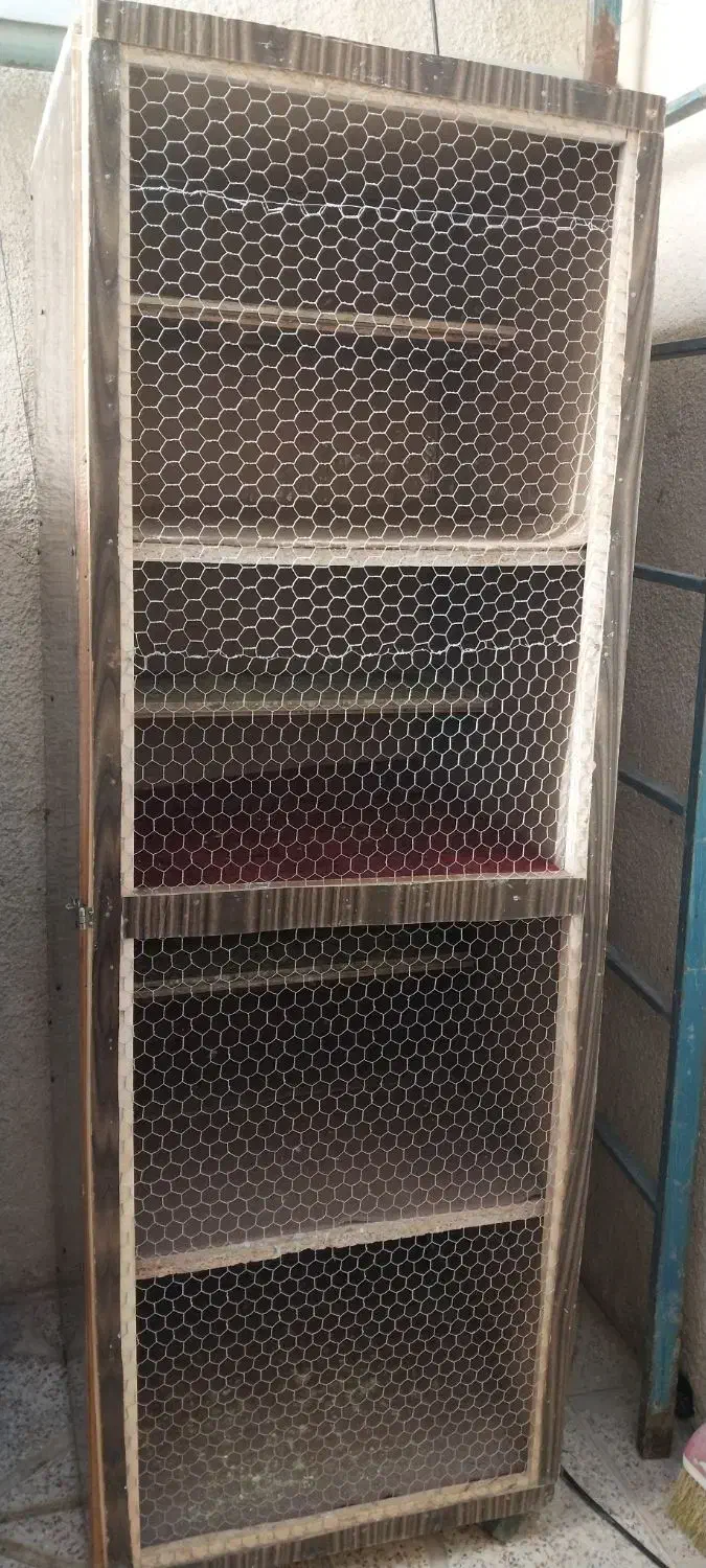 جفت کن کبوتر|لوازم جانبی حیوانات|ملایر, |دیوار