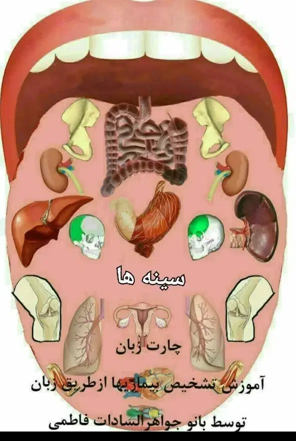 درمانی|خدمات آرایشگری و زیبایی|مشهد, پنجتن|دیوار