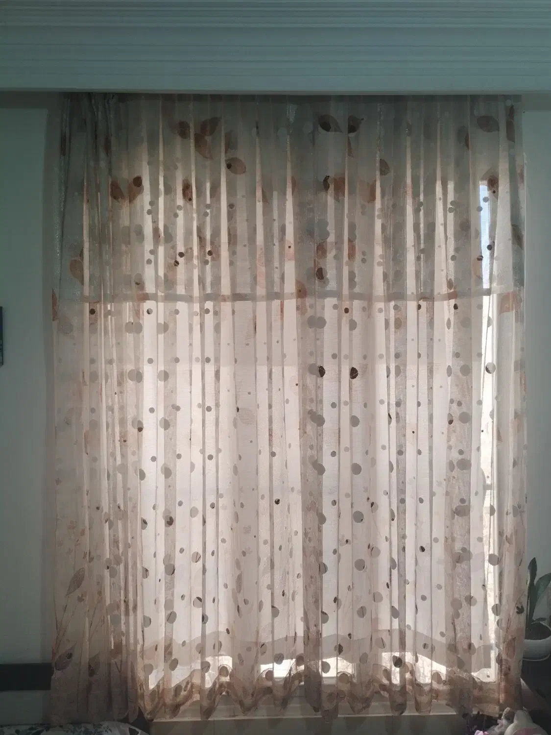 پرده|پرده، رانر، رومیزی|قزوین, |دیوار