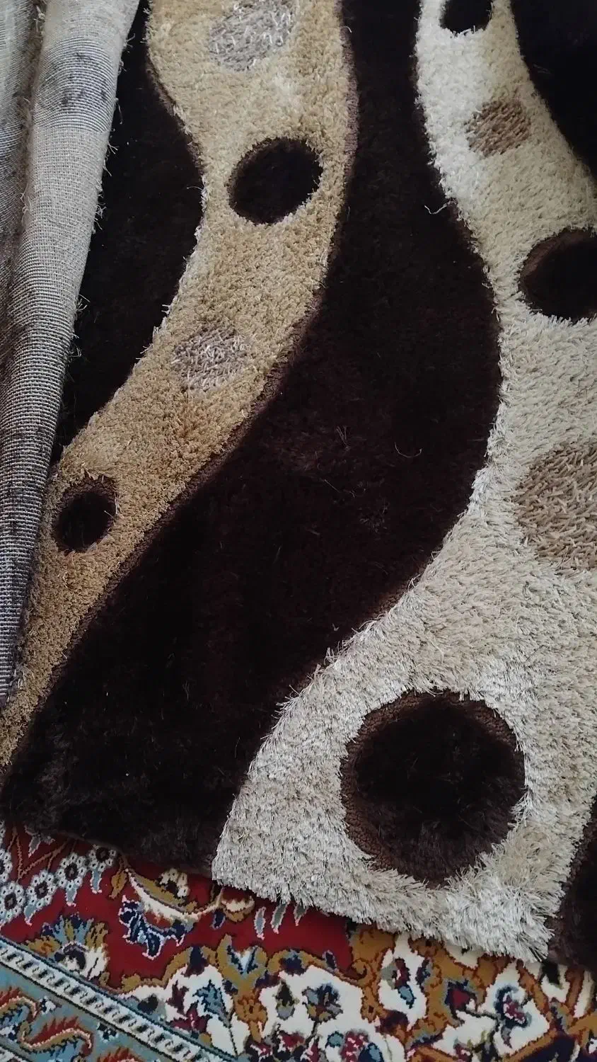 فرش فانتزی نو|فرش|نیشابور, شهرک پردیس|دیوار