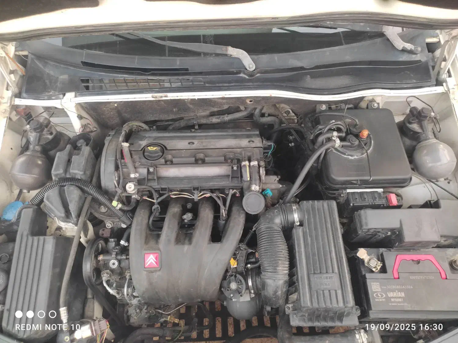 زانتیا|خودرو سواری و وانت|سراوان, |دیوار