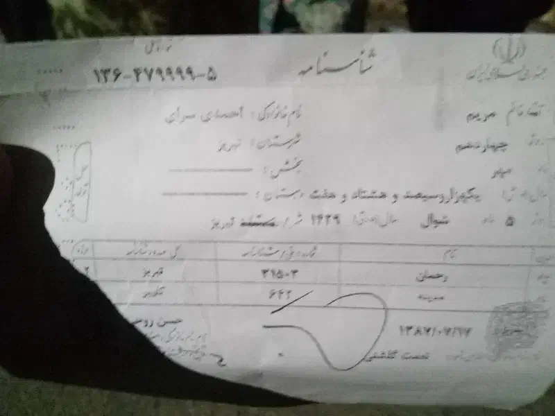 گمشده شده شناسنامه|اشیا|تبریز, |دیوار