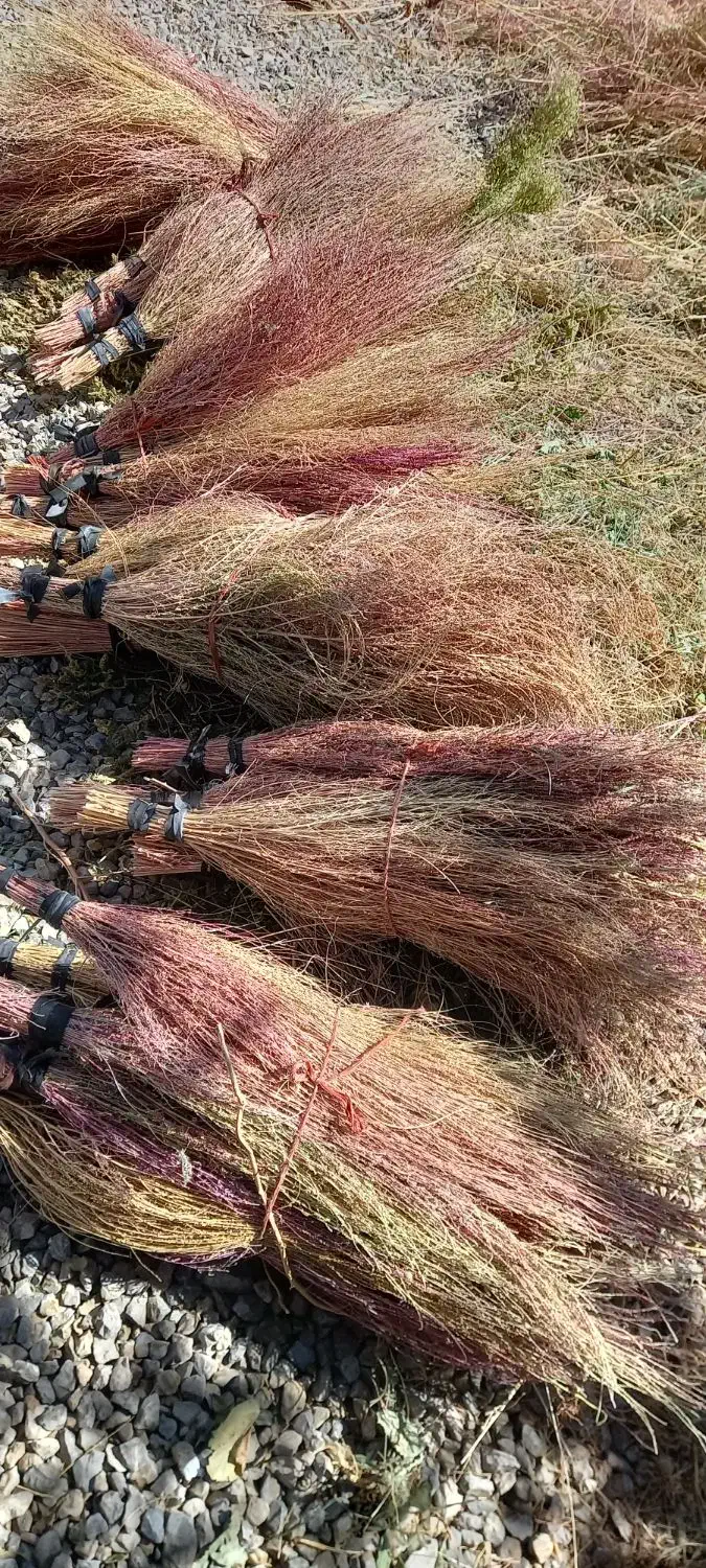 جارو|جاروبرقی، جارو شارژی، بخارشو|بیرانوند, |دیوار