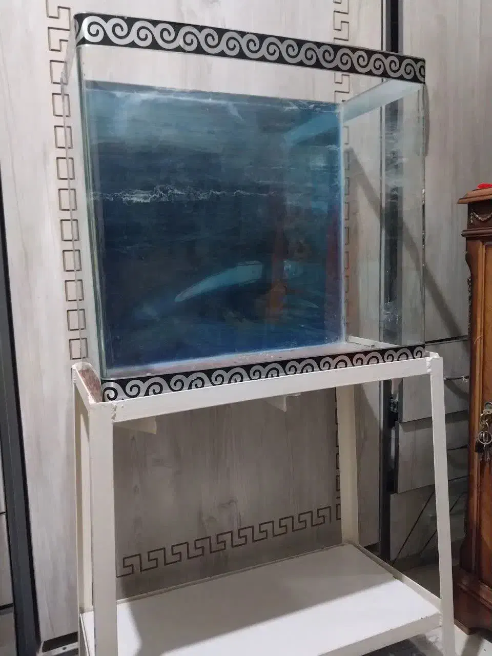 آکواریوم شیشه خم|ماهی|تهران, توحید|دیوار