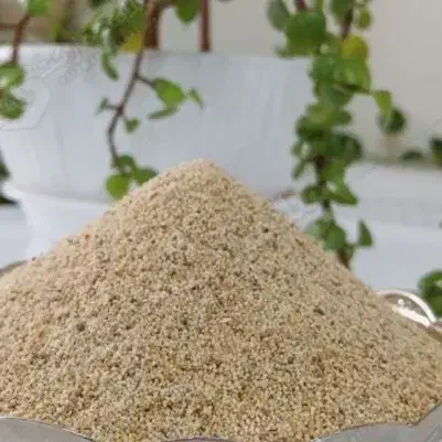 دانه گوجه ای|گل و گیاه طبیعی|چگنی, |دیوار