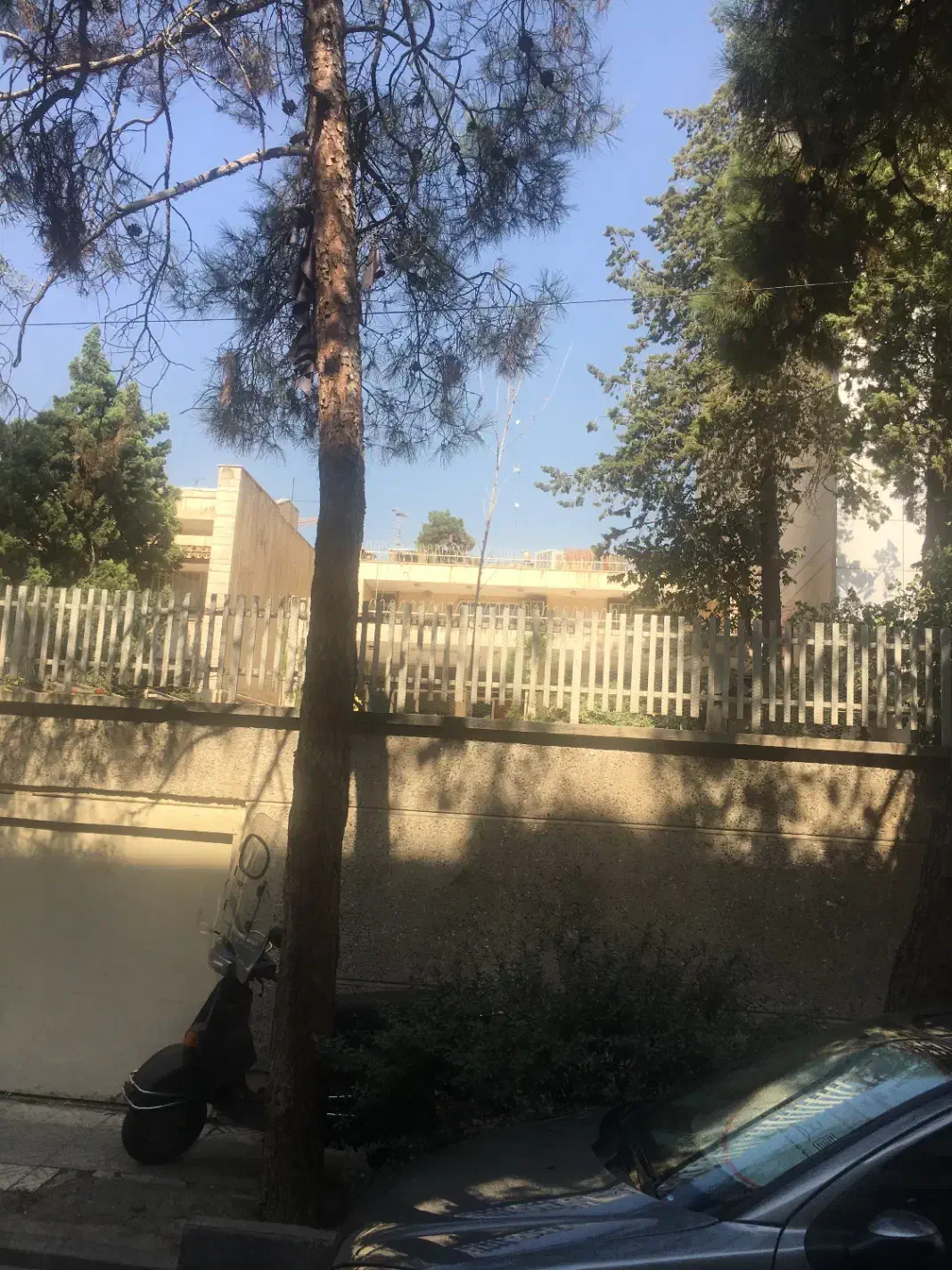 بر بهشتی|فروش زمین و ملک کلنگی|تهران, عباسآباد|دیوار