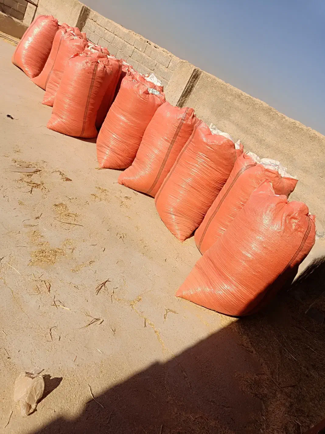 کاه گندم|حیوانات مزرعه|کوار, |دیوار