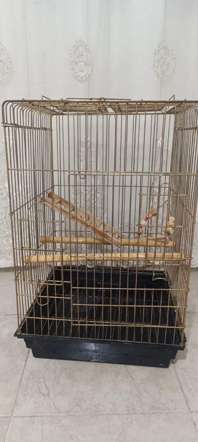 قفس پرنده|لوازم جانبی حیوانات|کرج, خرمدشت|دیوار