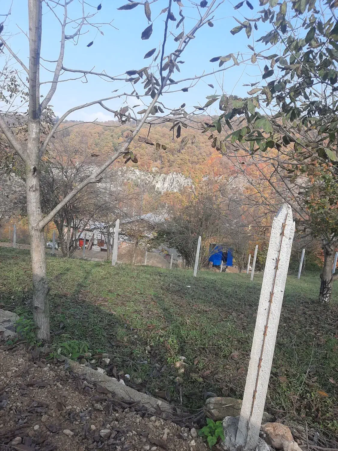 زمین ۲۵۰،۱۵۰متری در ولم|فروش زمین و ملک کلنگی|بهشهر, |دیوار