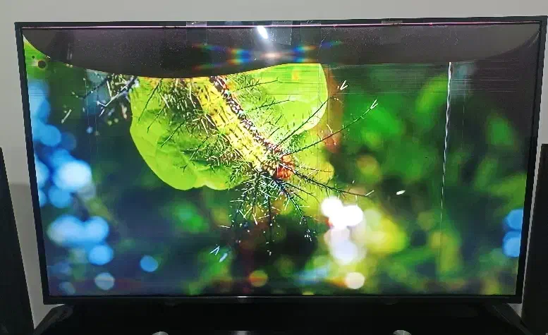 تلویزیون BLST|تلویزیون و پروژکتور|کرج, گلستان|دیوار