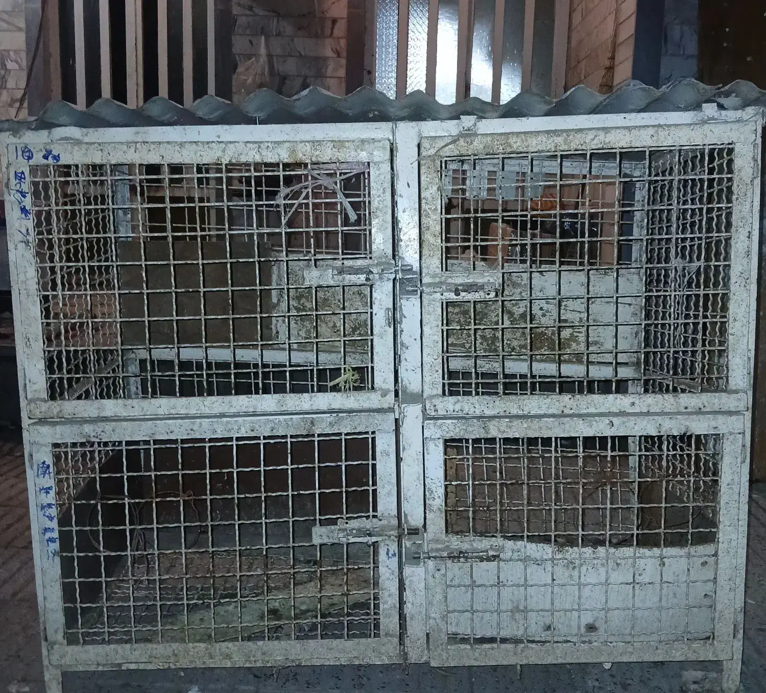 قفس جفتگاه تمام فنس|لوازم جانبی حیوانات|گنبد کاووس, |دیوار