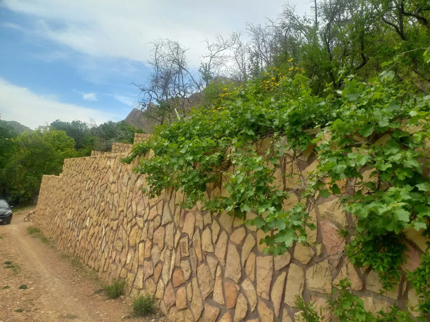 باغچه واقع در بافت قدیم قلات|فروش دفتر صنعتی، کشاورزی، تجاری|شیراز, قلات|دیوار