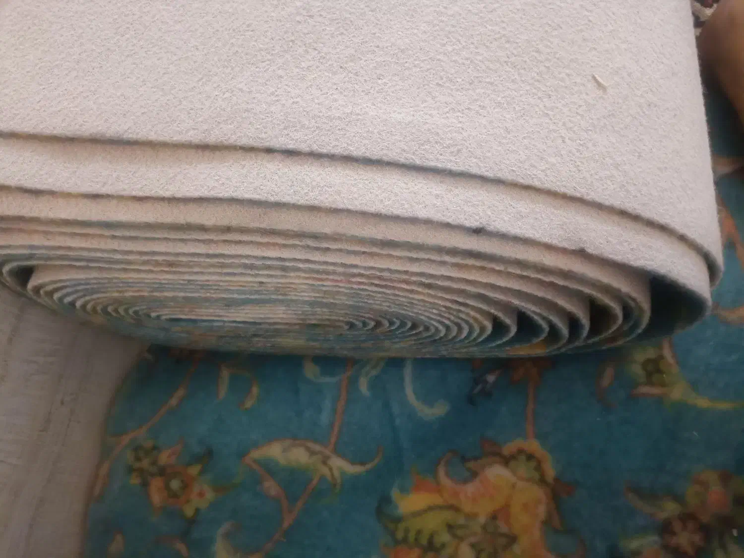 موکت|موکت|بندرعباس, |دیوار