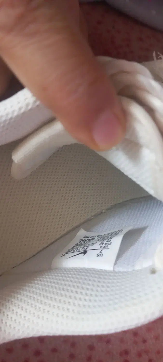 کفش|کیف، کفش، کمربند|فسا, |دیوار