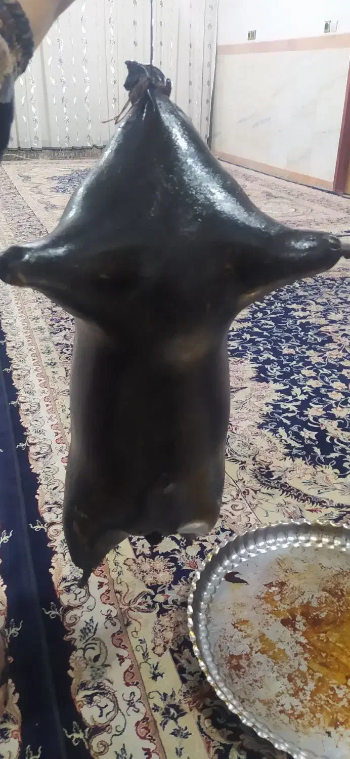 هیزه|ظروف نگهدارنده، پلاستیکی، یک‌بارمصرف|جوانرود, |دیوار