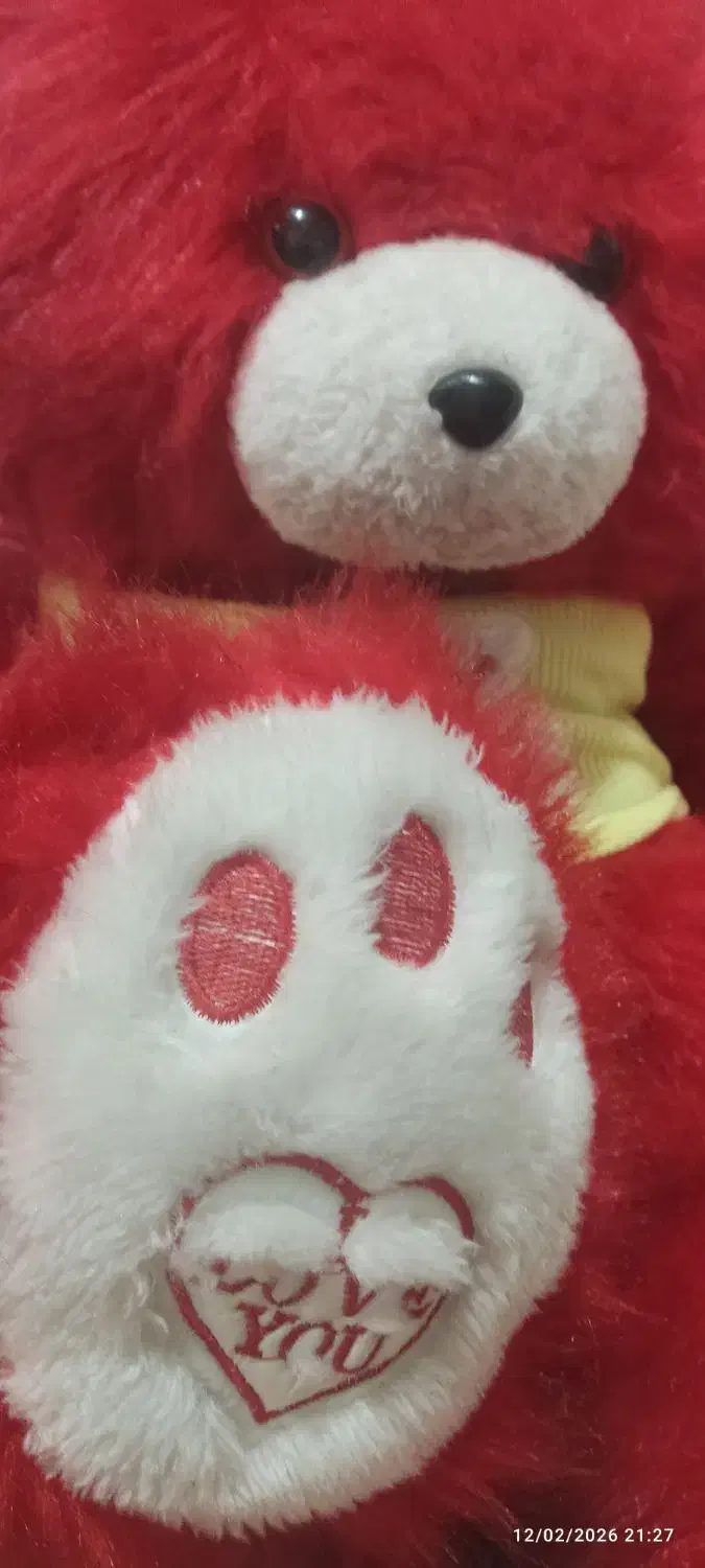 خرس|اسباببازی|اردبیل, |دیوار