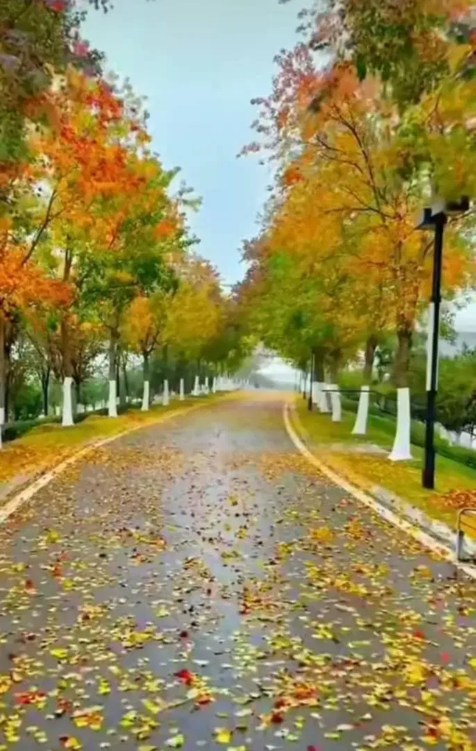 رهن و اجاره آپارتمان ۲خواب شهرک الهیه ،مجتمع|اجارهٔ آپارتمان|کرمان, |دیوار