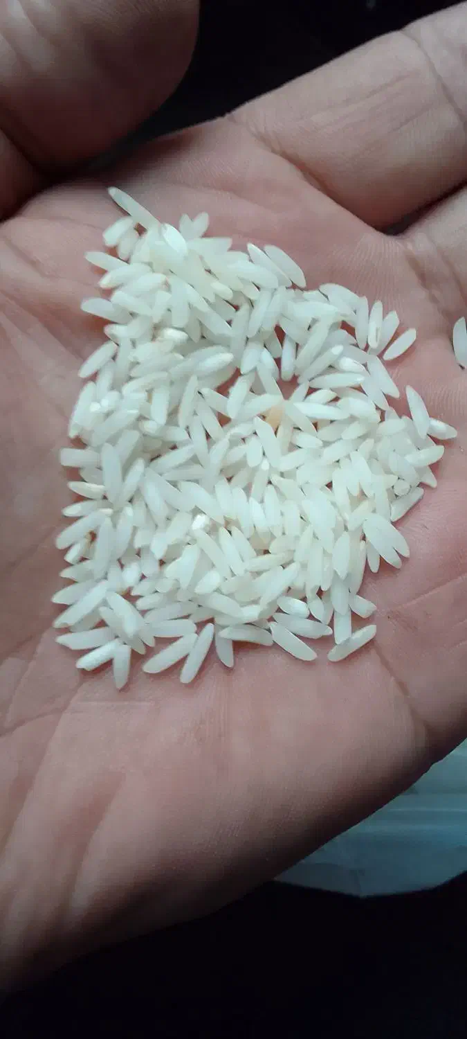 برنج هاشمی عطری درجه یک|خوردنی و آشامیدنی|تهران, مخصوص|دیوار