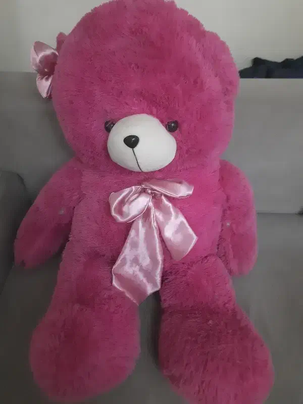 خرس ولنتاین|اسباببازی|تهران, صادقیه|دیوار