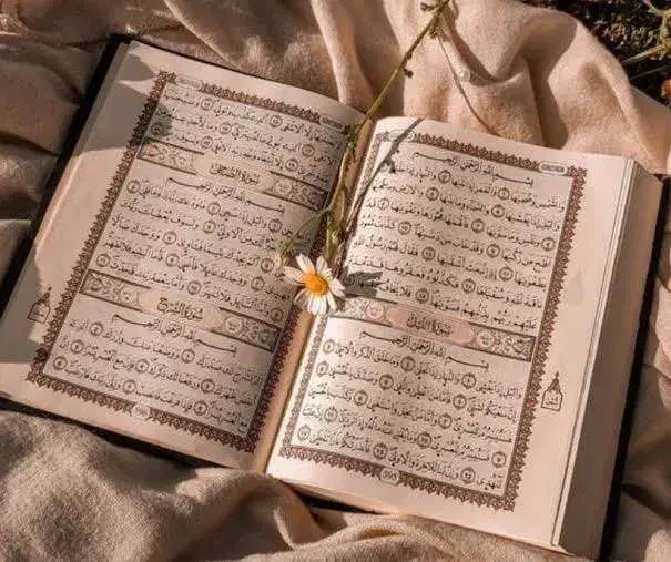 کتاب د عا|کتاب و مجله مذهبی|جلین, |دیوار