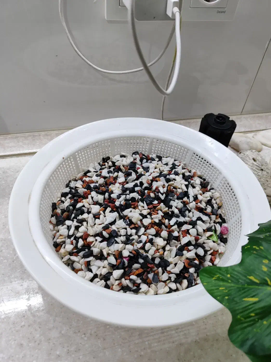 لوازم تزیینی آکواریوم|ماهی|تهران, وحیدیه|دیوار