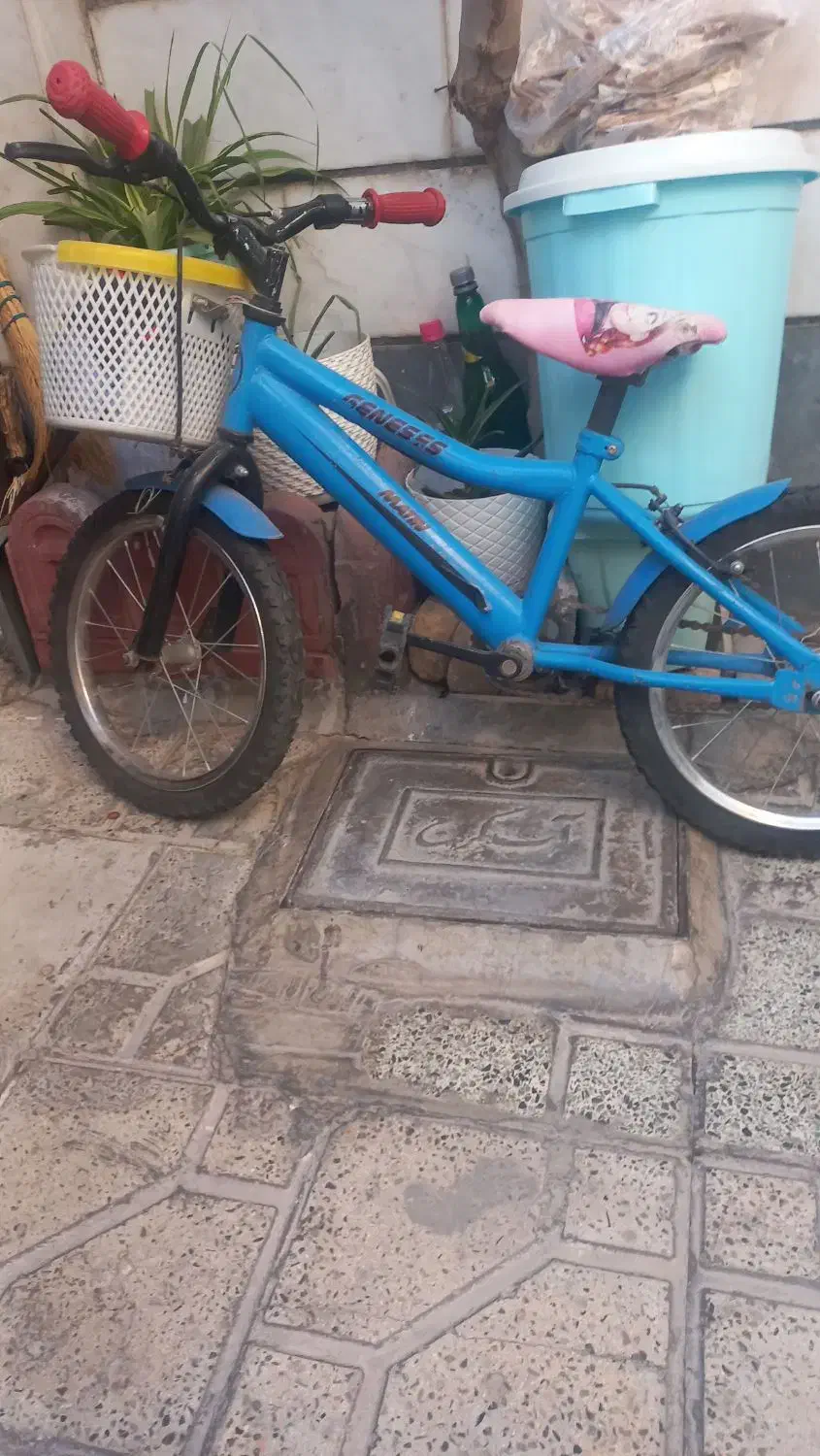 دوچرخه کارکرده و سالم|دوچرخه، اسکیت، اسکوتر|هشتگرد, هشتگرد قدیم|دیوار