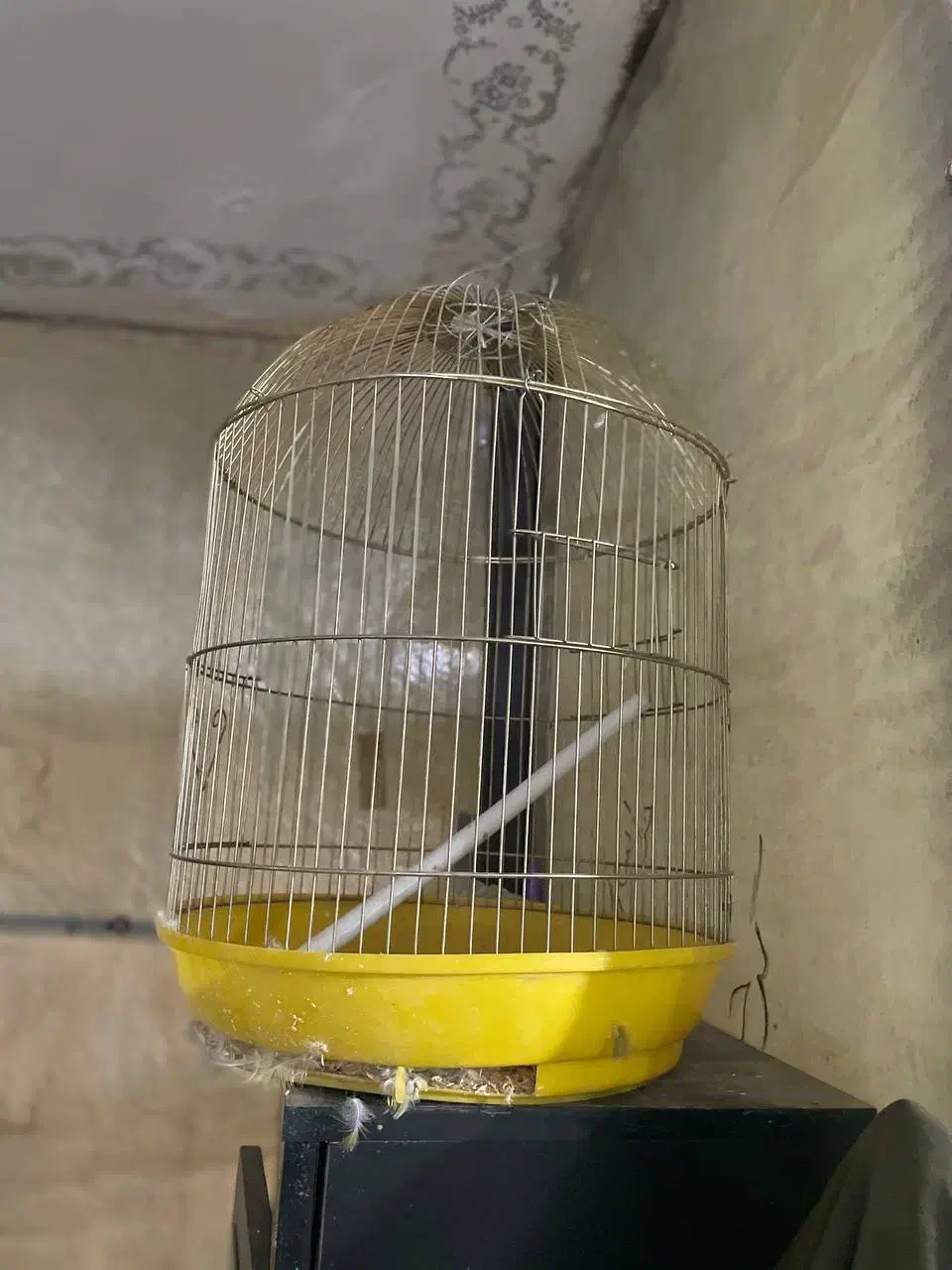 قفس گرد رنگ طلایی|لوازم جانبی حیوانات|هشتگرد, تهران دشت|دیوار