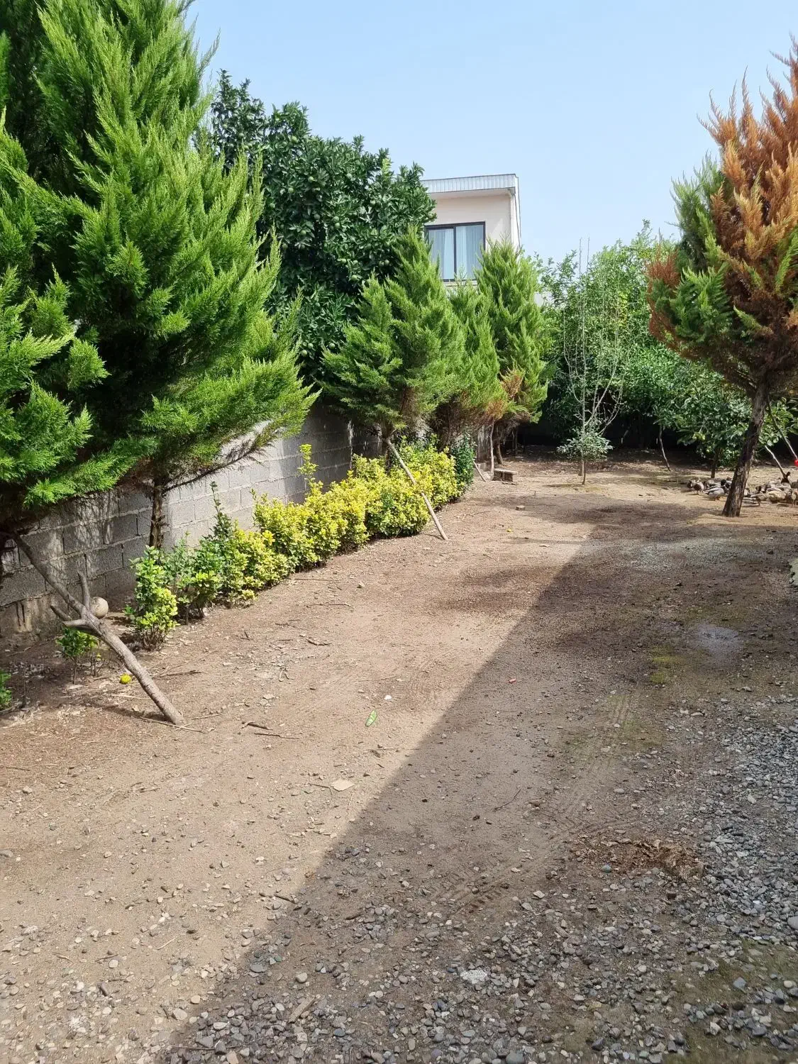 خانه باغ در منطقه آزاد انزلی،چپرپرد زمان|فروش خانه و ویلا|خشکبیجار, |دیوار