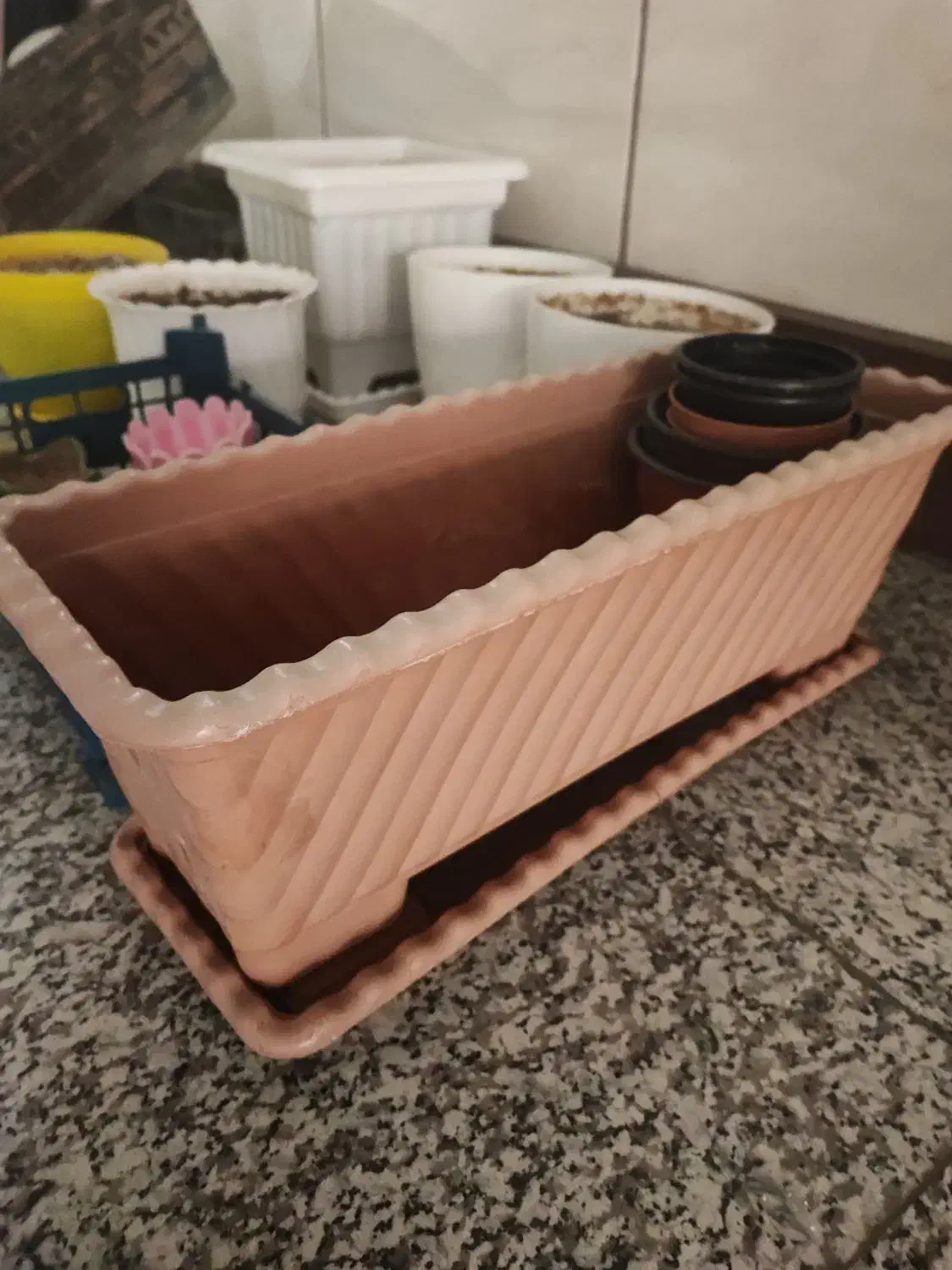 گلدانهای سفالی و پلاستیکی|گل و گیاه طبیعی|کرج, کوی مهر|دیوار