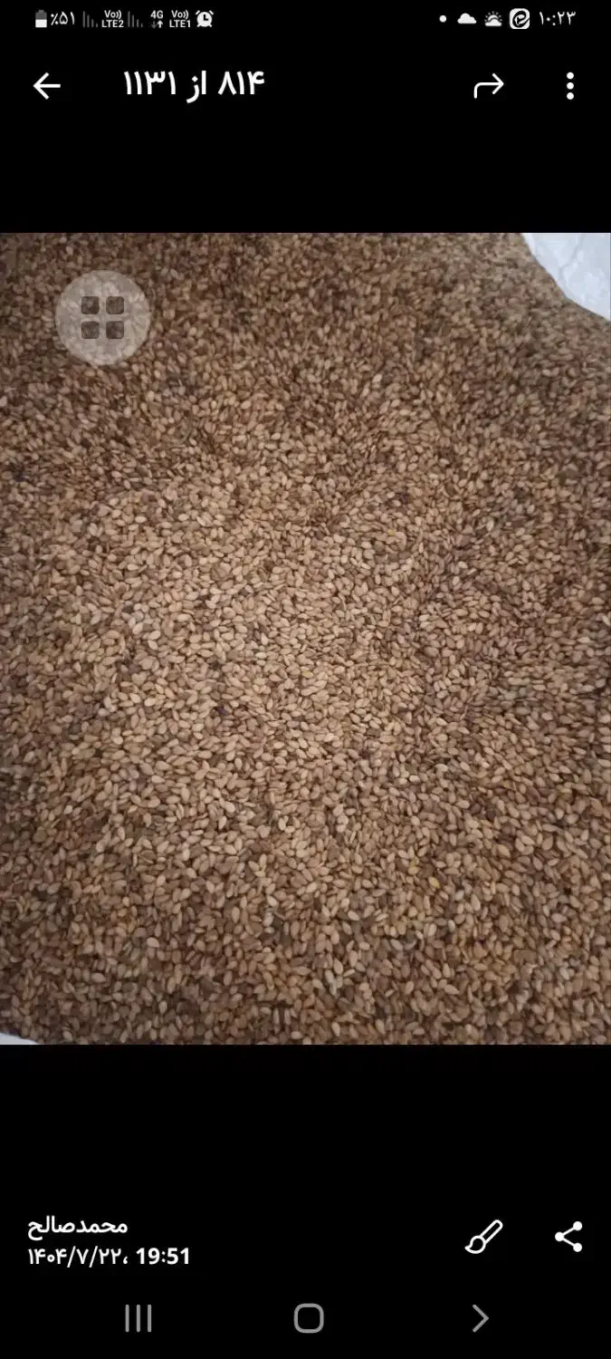 کنجد محلی ترو تمیز|خوردنی و آشامیدنی|طبقده, |دیوار