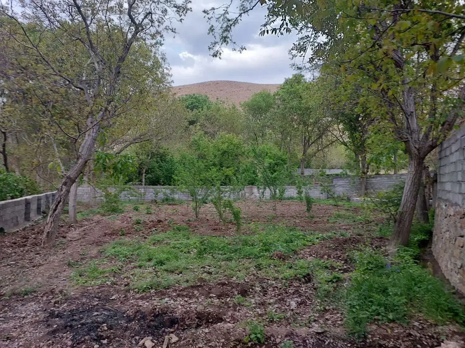 باغ کهندان|فروش زمین و ملک کلنگی|قاهان, |دیوار