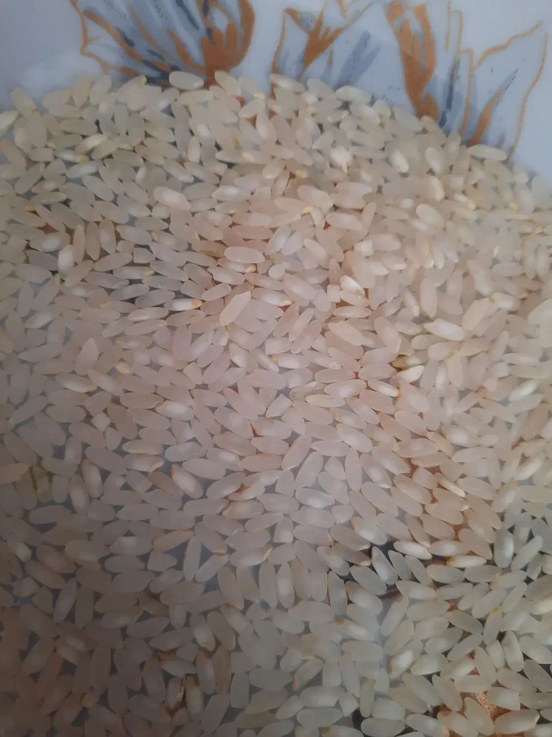 برنج بکیان کامفیروز|خوردنی و آشامیدنی|مرودشت, ثبت احوال|دیوار