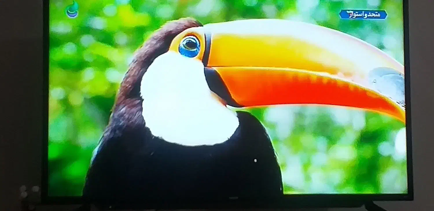 تلویزیون۴۹اینچ آیوا m7|تلویزیون و پروژکتور|اسلام‌‌آباد غرب, |دیوار