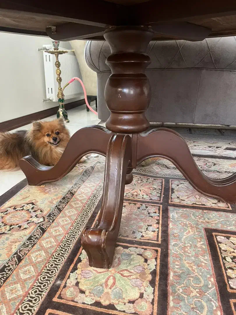 میز نهارخوری. میز پذیرایی|میز و صندلی غذاخوری|تهران, اسکندری|دیوار