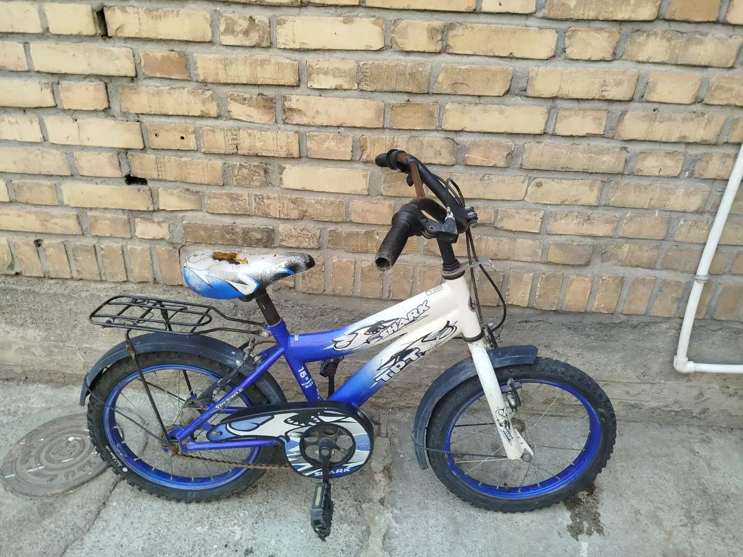 دوچرخه بچه گانه|دوچرخه، اسکیت، اسکوتر|مشهد, فردوسی|دیوار