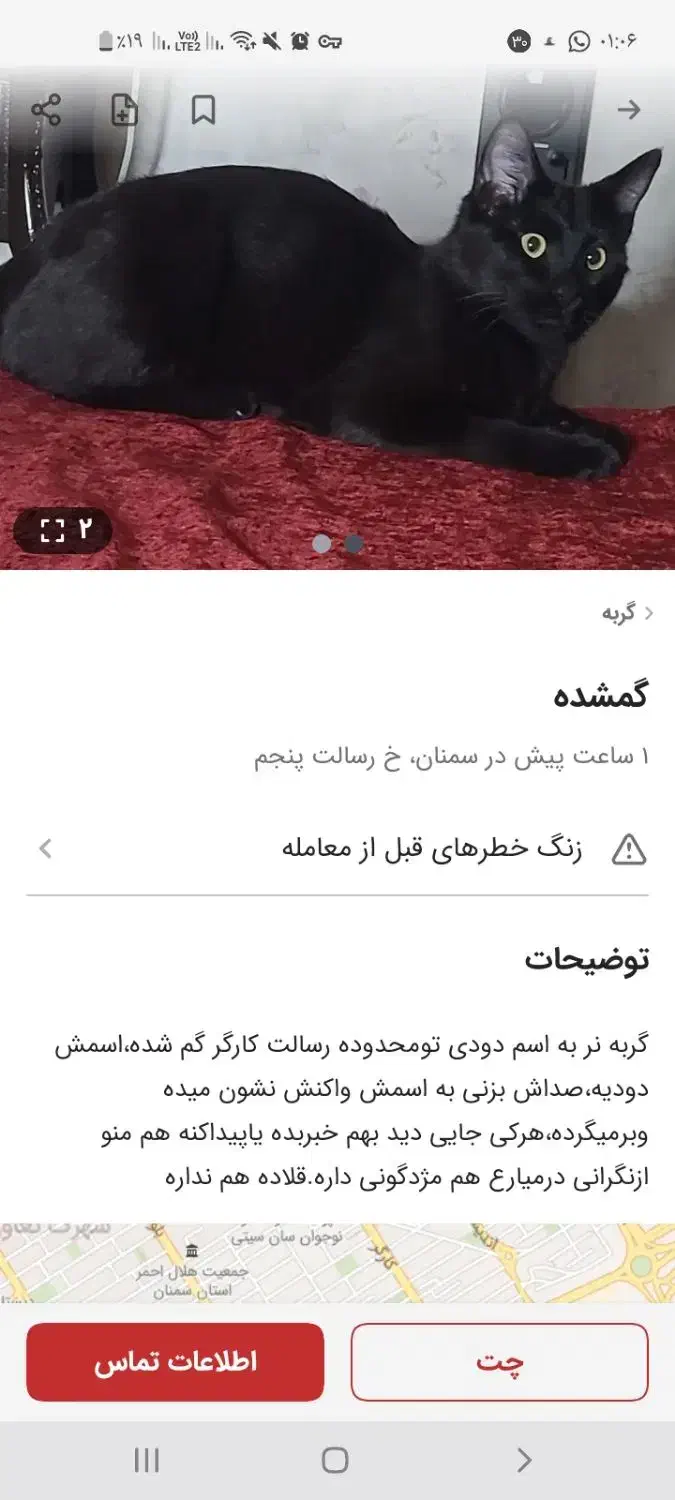 گمشده|گربه|سمنان, |دیوار