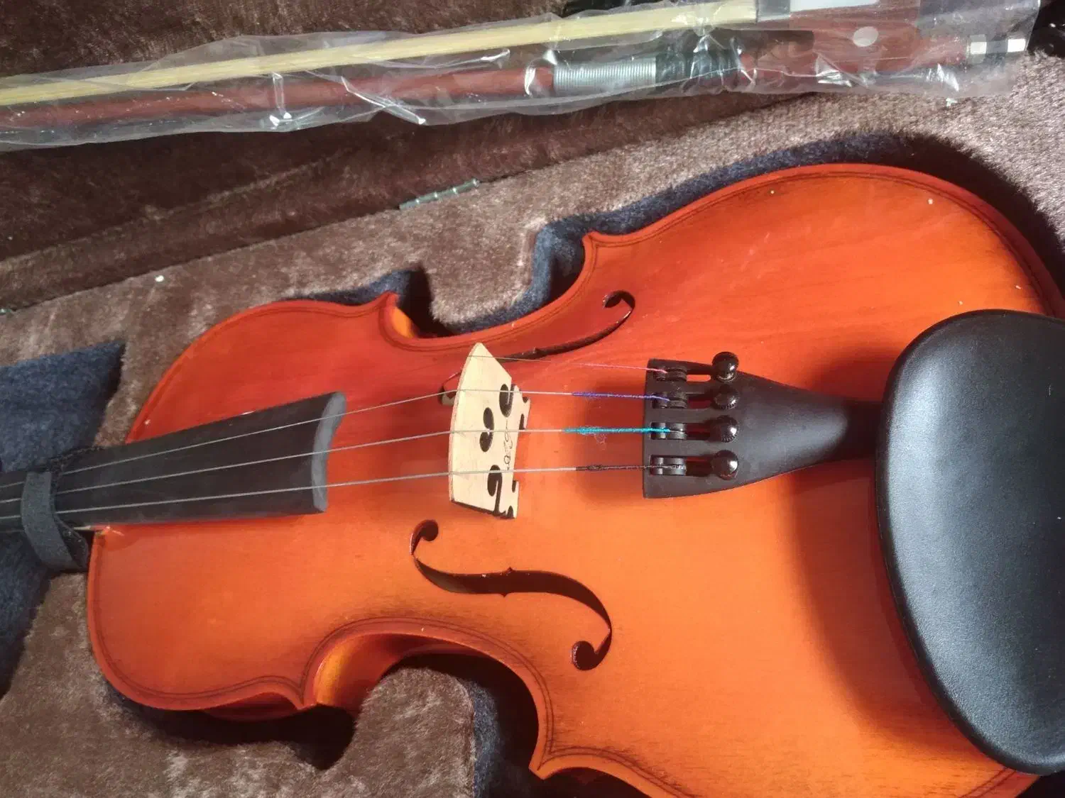 ویولن ایرانی و رناتو|ویولن|شیراز, منطقه هوایی شهید دوران|دیوار