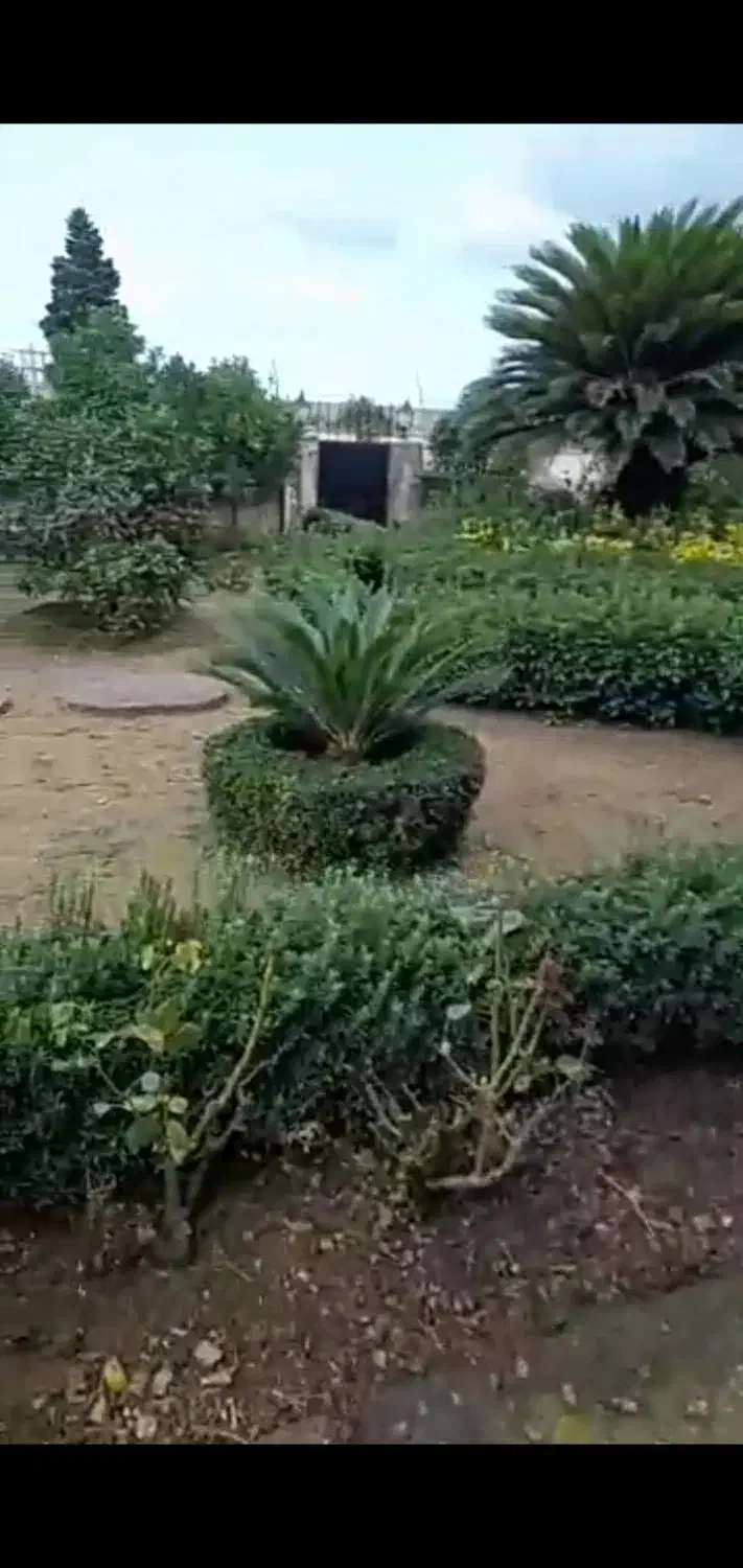 نگهداری باغچه ویلاوپوست کندن درخت نخل یا خرما|خدمات باغبانی و درختکاری|سلمانشهر, |دیوار