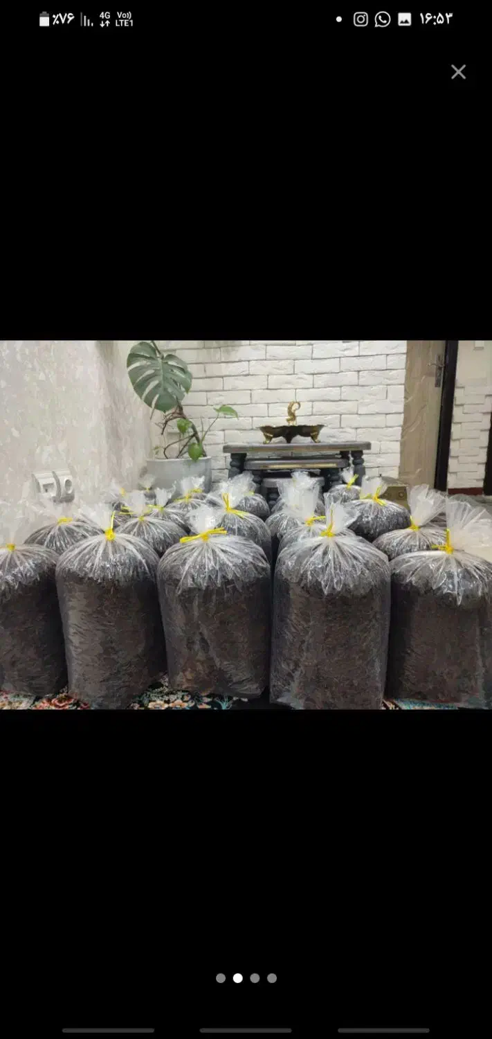 چای بهاره|خوردنی و آشامیدنی|چالوس, |دیوار