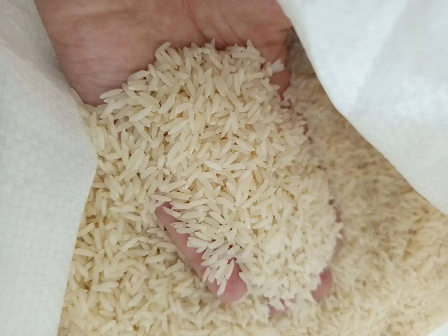 برنج اصل گیلان|خوردنی و آشامیدنی|تبریز, |دیوار