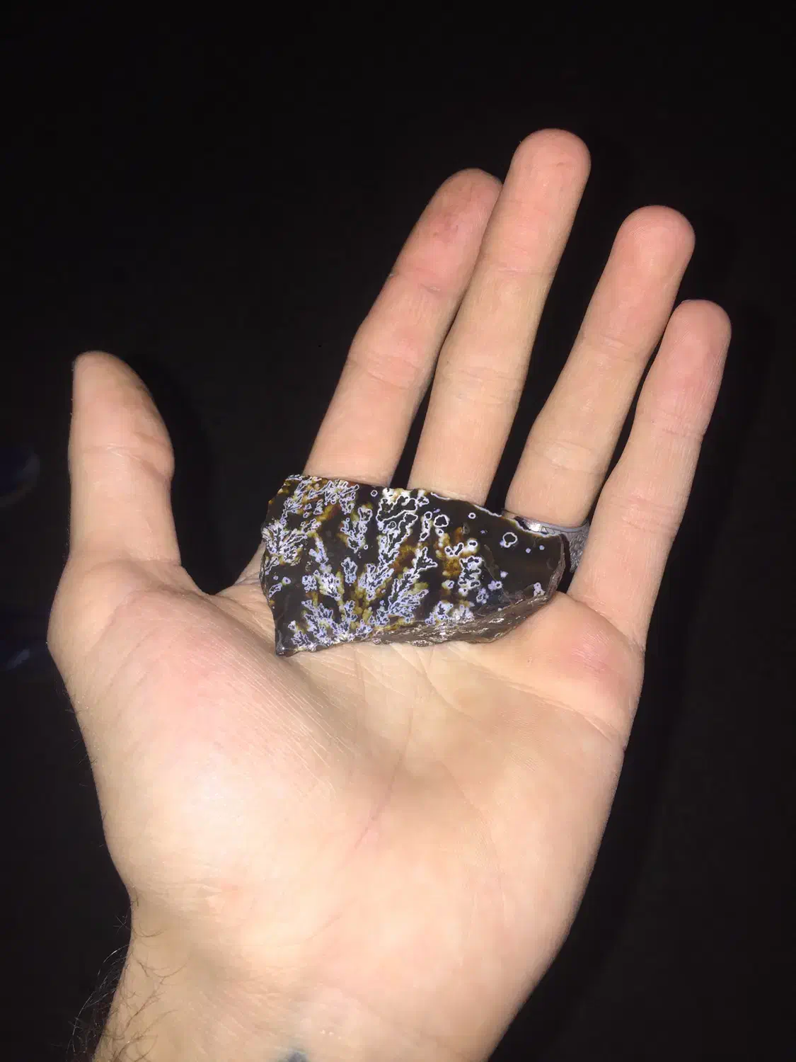 سنگ شجر کمیاب|جواهرات|پرند, فاز ۶|دیوار