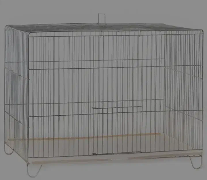 قفس پرنده سهره قناری فنچ مرغ عشق عروس طوطی برزیلی|لوازم جانبی حیوانات|تهران, مدائن|دیوار