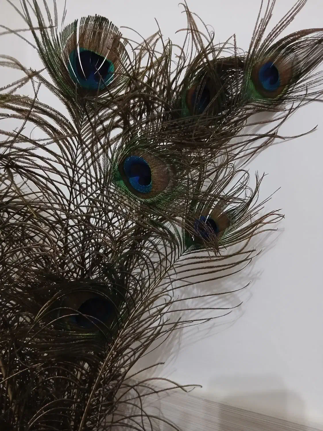 پر طاووس به همراه گلدان|گل مصنوعی|دزفول, |دیوار